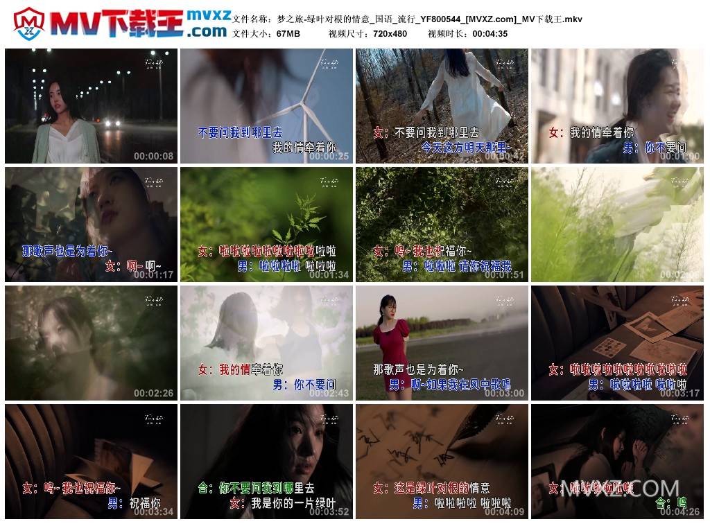 梦之旅-绿叶对根的情意_国语_流行_YF800544